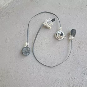 Corolla tros pecka kansaner