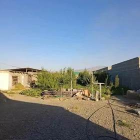 Dowgala