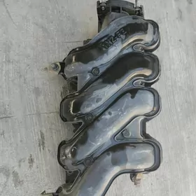 pawuk  karolo  1 NZ