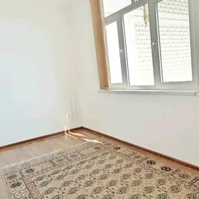 Arenda jay 30 mik