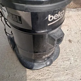 plesos