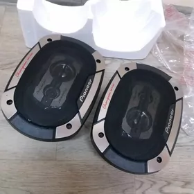 pioner 550w nikl