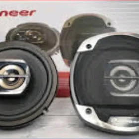 Piooner nikil 300w original