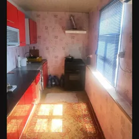 Satlyk we admen jaý
