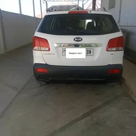 Kia Sedona 2010