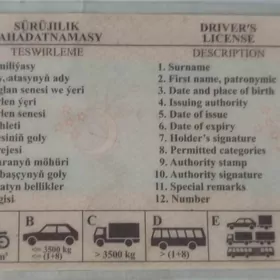 Sürüji uly maşyn