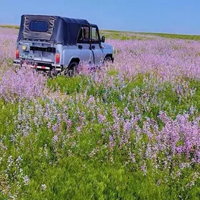 UAZ 469 1984