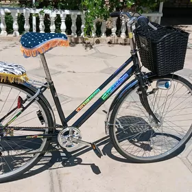 Panasonik 27lik