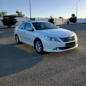 Toyota Aurion 2013