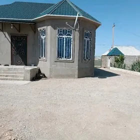 nebitchi 38