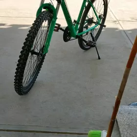 Turkmenistan tigir