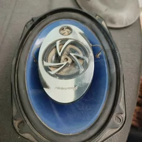 Pioneer Kalonka
