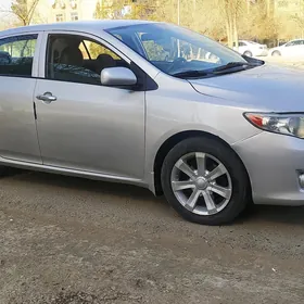 Toyota Corolla 2010