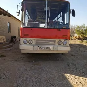 ПАЗ 3204 1980