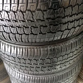265/55/19/5şt Dunlop