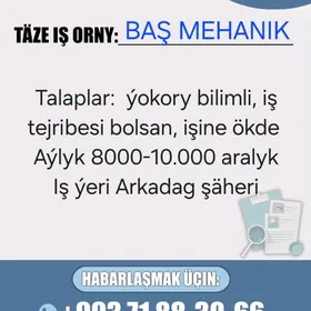 Baş mehanik