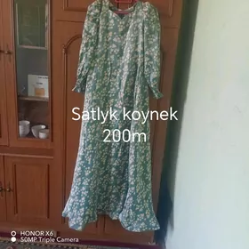 Satlyk koynek