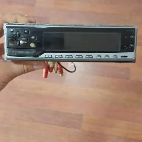 Pioneer