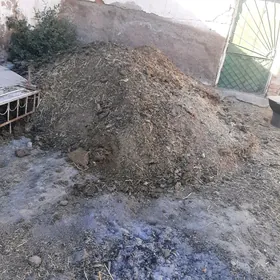 дерс бар