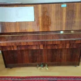 pianino nocturne
