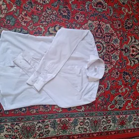ak koynek