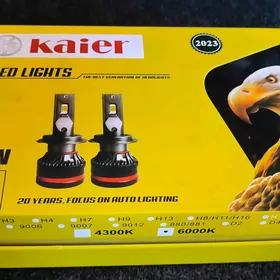 9005 dalny lampa arginal