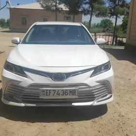 Toyota Camry 2019