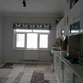 Anew panel jaý kemine köçe