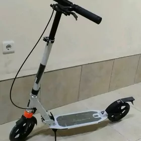 samokat taze