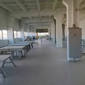 arenda karende ammar, onumcili