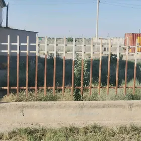 Raşotka
