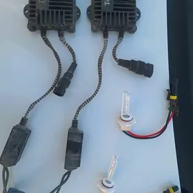 sinon lampa