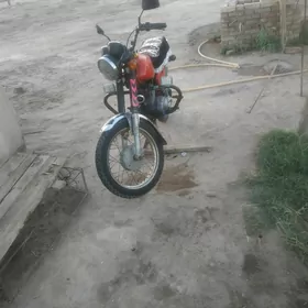 Fekon FK150-8G 2025