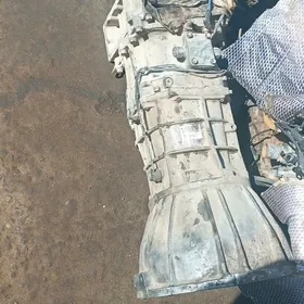 каропка раздатка