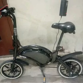 tokly Tigir
