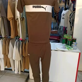 kastum usti a şagy