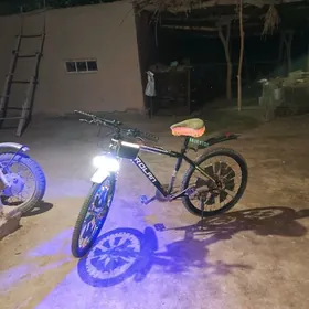 CrolanTigir 26