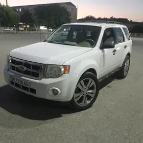 Ford Escape 2010