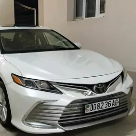 camry fara