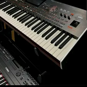 korg pa4x