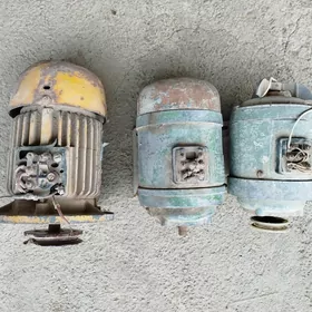Elektro dwigatel