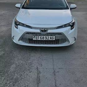 Toyota Corolla 2021
