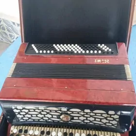 bayan (Баян)