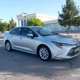 Toyota Corolla 2021