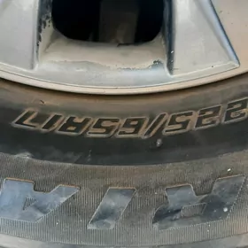 17 kakyriska pasti taze
