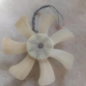 Winteliyator tayota kemri