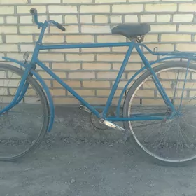 welesepet 500 ors