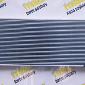 Radiator ahli gornusi