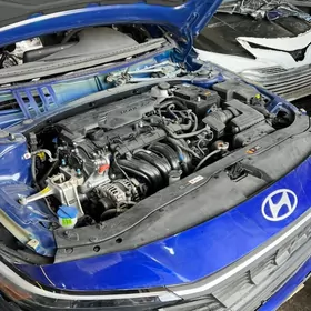 elantra 2024
