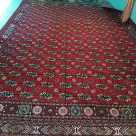 хали